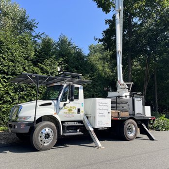 Safe Tree Service Execution